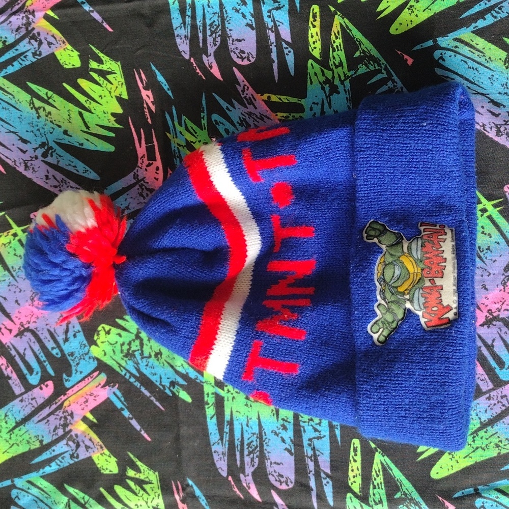 VTG 1989 TMNT Hat
